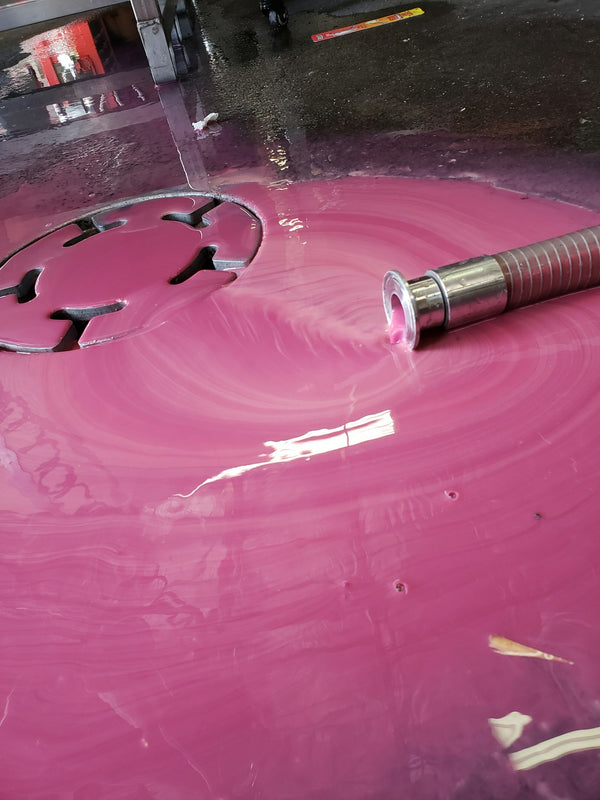 Paint Protection Film application on a car
