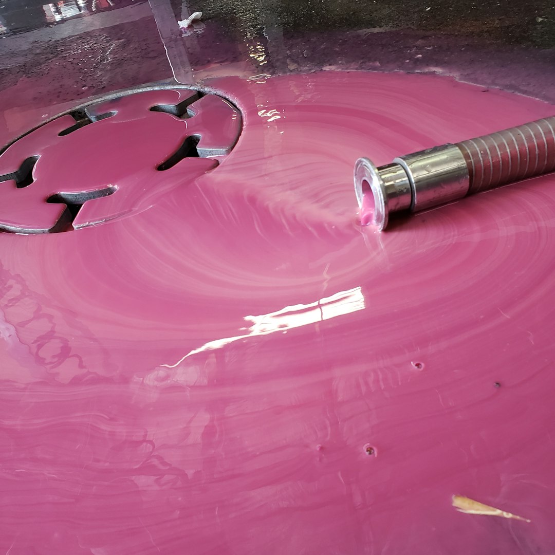 3M paint protection film
