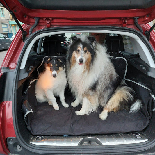 Car trunk organizer